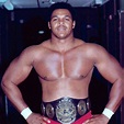 Beefcakes of Wrestling: Flashback Friday: Butch Reed