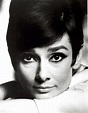 Dazzling Divas: Audrey Hepburn