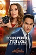 Picture Perfect Mysteries: Exit, Stage Death | Rotten Tomatoes