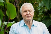 Sir David Attenborough warns of a 'critical' summer for butterflies ...