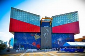 7 Reasons to Visit Osaka Aquarium – Trip-N-Travel