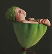 Rare images Anne Geddes released for the first time - NZ Herald