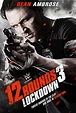 Ver 12 Rounds 3: Lockdown (2015) Online Español Latino en HD