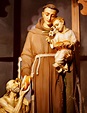 St. Anthony, Patron Saint of Lost Things - Peanut Mom