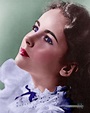 Elizabeth Taylor 1944 | Young elizabeth taylor, Elizabeth taylor eyes ...