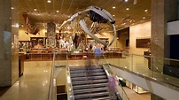 Milwaukee Public Museum in Milwaukee, Wisconsin | Expedia