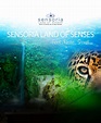 SENSORIA, Tierra de los Sentidos. | Enchanting Costa Rica