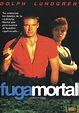 Fuga mortal - película: Ver online completas en español