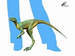 Dinosauromorpha - Alchetron, The Free Social Encyclopedia