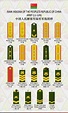 rank insignia of chinese army, pla army rank | Армия, Военный, История