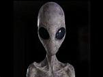 Trailer: Invasión alienígena y torturas en ‘Extraterrestrial’ - ENFILME.COM