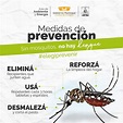 Mosquitos: Campaña de Prevención – Municipalidad de Arroyito