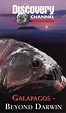 Galapagos-Beyond Darwin [Reino Unido] [VHS]: Amazon.es: Películas y TV