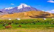 True Mongolia travel WHEN TO VISIT MONGOLIA - The best time to visit ...