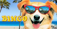 Bingo - película: Ver online completas en español