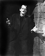 Frankenstein Stills - Classic Movies Photo (19760821) - Fanpop