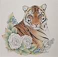 Tiger and Rose Drawing by Rita Niblock - Pixels