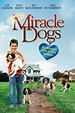 Miracle Dogs (TV Movie 2003) - IMDb