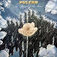 Pulsar - The Strands Of The Future (1977, Vinyl) | Discogs
