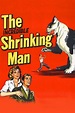 The Incredible Shrinking Man (1957) | The Poster Database (TPDb)