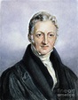Thomas Malthus (1766-1834) Photograph by Granger - Fine Art America