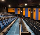 MJR Theatre Grand Cinema with Irwin Seating models 71.12.2.2 Signature ...