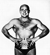 Verne Gagne and the Rise and Fall of the AWA - Wrestling Territories