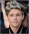 Niall Horan Hairstyle 2022