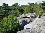 Fotos - El bosque de Fontainebleau - Guía turismo y vacaciones