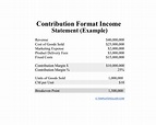 Contribution Format Income Statement Template Download Printable PDF ...