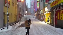 2014年2月8日＜東京大雪の記録映像＞(Snow in Tokyo Akihabara) - YouTube