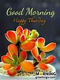 18 Cool Thursday Morning Greetings - Morning Greetings – Morning Wishes