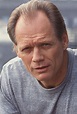 Fred Dryer - Profile Images — The Movie Database (TMDb)
