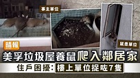 鼠患問題 ︳美孚垃圾屋養鼠爬入鄰居家 住戶困擾：樓上單位捉咗7隻 - 晴報 - 家庭 - 家居 - D220331