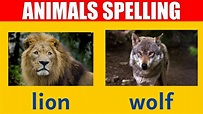 Wild Animal Names - Learn Spelling and Pronunciation in English - YouTube
