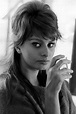 Young Sophia Loren: Life Story And Photos Of The Most Beautiful Italian ...