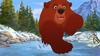 Trailer de la película Tierra de osos - 'Tierra de osos'- Tráiler ...