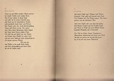 Morgue und andere Gedichte. von Benn, Gottfried:: Softcover (1923 ...