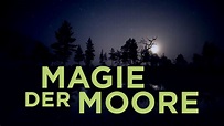 Magie der Moore - Trailer 2 [HD] Deutsch / German - YouTube