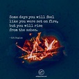 Rise from the ashes | Rise from the ashes, I will rise, Wise words