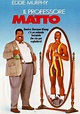 Il professore matto - Film (1996)