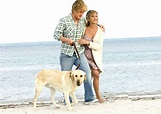 Marley & Me Wallpaper - Marley And Me 2008 Photo (5807697) - Fanpop