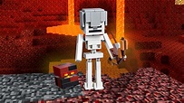 Skeleton Build Minecraft