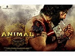 The movie 'Animal': Everything you need to know about Ranbir Kapoor's ...