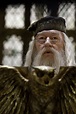 Dumbledore in the Great Hall - Albus Dumbledore Photo (25819588) - Fanpop