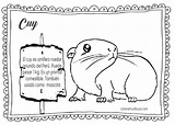 Perú, sierra, animales, dibujos para niños - colorear tus dibujos