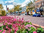 Moving to Winter Park FL | Orlando's Best Neighborhood