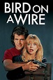 Bird on a Wire (1990) - Posters — The Movie Database (TMDB)