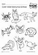 Animal Worksheets, Animal Activities, Animal Crafts, Science Activities ...