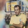 Gérson de Oliveira Nunes | Brazil football team, Brazil team, National ...